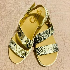 Circus by Sam Edelman sandals